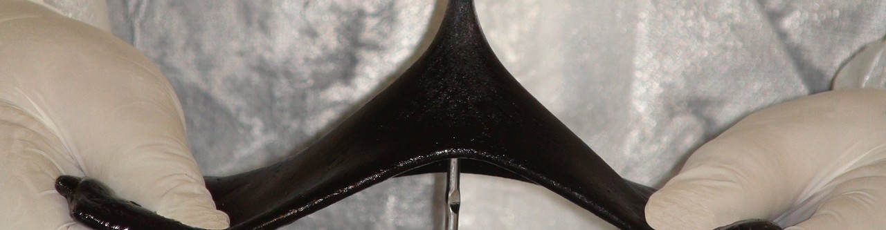 Sealcoflex